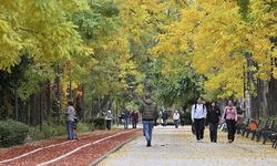 Sıcaklıklar mevsim normallerinin üzerinde seyredecek