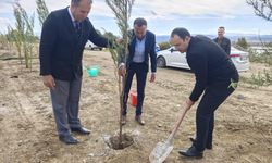 Sivas Gölova'ya yürüyüş yolu yapılıyor