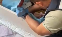 2 ilde suç örgütü operasyonu