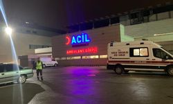 Ankara’da Feci Olay: İki Kız Çocuğu Parkta Baygın Buldu, Biri Hayatını Kaybetti