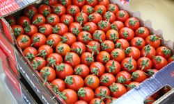 Antalya’dan Ukrayna’ya İhracatta Anti-Damping Endişesi