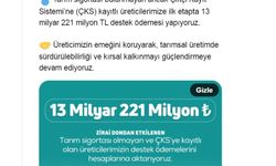 Bakanlıktan zirai dondan etkilenen üreticilere 13 milyarlık destek