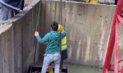 Bartın'da İnşaat Çukuruna Düşen Tilki İşçiler Tarafından Kurtarıldı