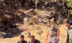 Bitlis'te 90 kınalı keklik doğaya salındı