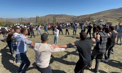Cancur eriğinde hasat, festival ile başladı