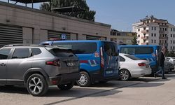 Ceviz toplarken ağaca düştü