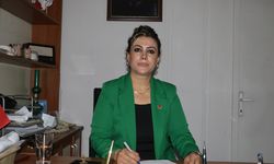 Diyarbakır Kooperatifler Mahallesi’nde boşanma başvuruları arttı