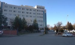 Eşi ile amcasını silahla öldürdü