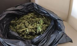 Güvercin kümesine gizlenmiş uyuşturucu ele geçirildi