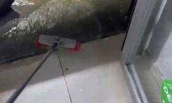 İzmir ve Manisa'da sağanak