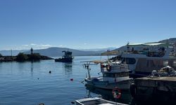 Karadeniz'de hamsi boyu küçüldü