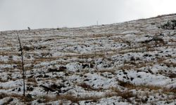 Kartalkaya karla kaplandı!