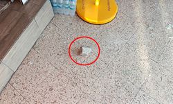 Marketin camını kırıp, içerde yiyip içti!
