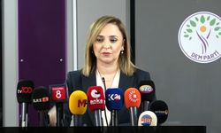 "Öcalan'ın dinlenmesi için formül üretilmeli"