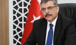 Sahipsiz sokak hayvanlarıyla ilgili ihbarlar 112'ye yapılacak