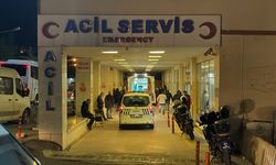 Şanlıurfa'da korkutan kaza