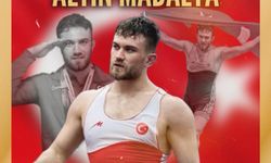 Süleyman Karadeniz'den altın madalya