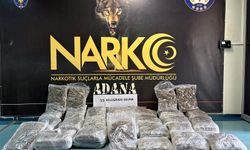 TIR'daki valizlerden 55 kilo skunk çıktı!