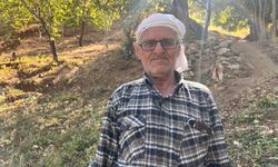Tonlarca üzümü kızakla köyüne taşıyor