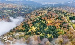 Uludağ'da sonbahar güzelliği dronla görüntülendi