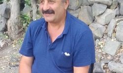 Üzerine tomruk düşen işçi hayatını kaybetti