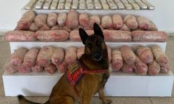 Van'da uyuşturucu operasyonu