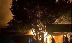 Yangında balık restoranı kül oldu