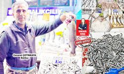 “Et ve tavuk cep yakınca vatandaş balığa yöneldi”