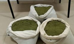 Edirne Gümrük Kapısı'nda 105 kilo esrar ele geçirildi
