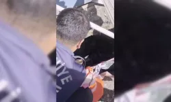 Osmaniye'de yavru kedi kurtarıldı