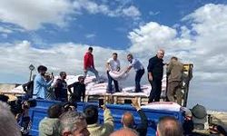 Sincanlı Çiftçilere 615 Ton Buğday Desteği
