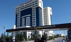 Tarım ve Orman Bakanlığı Personel Alacak!