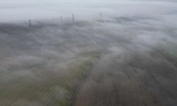 Tekirdağ'da sisli hava etkili