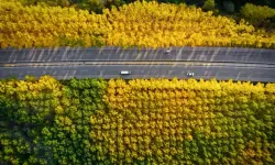 Sakarat Yaylası’nda Sonbahar Büyüsü Havadan Görüntülendi