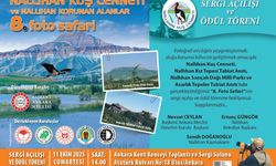 Başkent’te Nallıhan Kuş Cenneti Foto Safari Sergisi Açılıyor