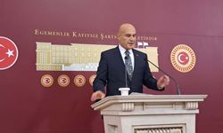 Çömez: Parlamento Saray’ın Gölgesinde Olamaz