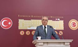 “Diyarbakır Kalesi’ne sadece Albayrak asılır”