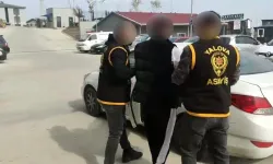 Yalova'da fuhuş operasyonu