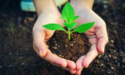 Ankara’da binlerce fidan toprakla buluştu