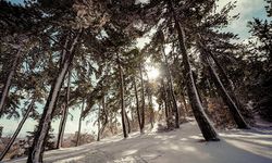 Ankara’nın En Uzak İlçeleri