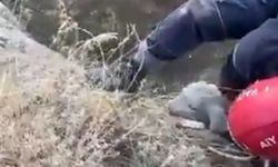 Kayseri’de Uçuruma Düşen Keçi kurtarıldı