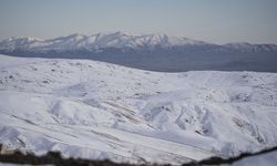 Erzurum ile Ardahan'da sis ve soğuk hava etkili!