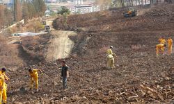 Hatay’da 36 bin 550 fidan toprakla buluşacak