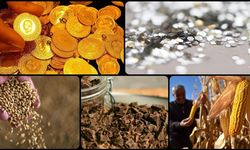 Tarife ve arz-talep endişeleri fiyatlandı