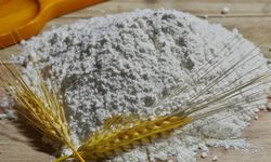 Türkiye un ihracatında toparlanma: Ekim ayında miktar ve değer bazında artış