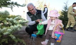 "30 milyon fidan sahiplenildi"