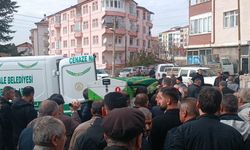 Ağabeyini 'kanepe' kavgasında bıçakladı!