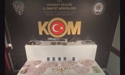 Aksaray’da FETÖ Operasyonu: 10 Gözaltı, 1 Tutuklama