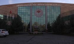 Ankara'da  1 milyon 800 bin gıda analizi!