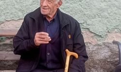 Ankara'da ormanda mantar toplarken yaralandı